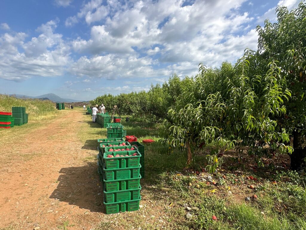 Kompanija „13. jul Plantaže“: Građani da se uzdrže od hvatanja i prisvajanja ribe iz našeg proizvodnog fonda