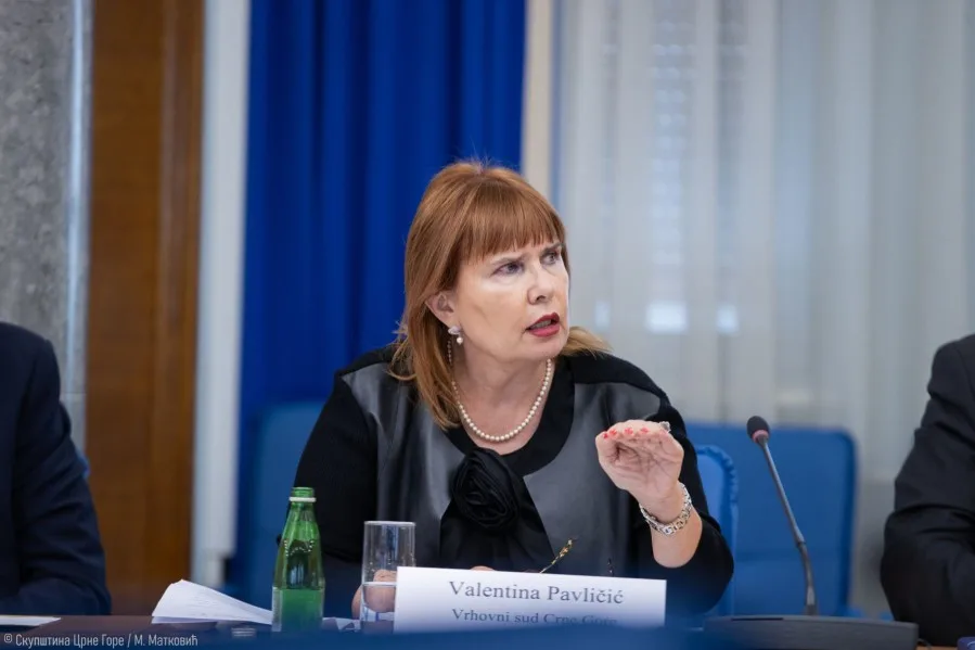 Pavličić: Štrajk ugrožava napredak u procesu integracija