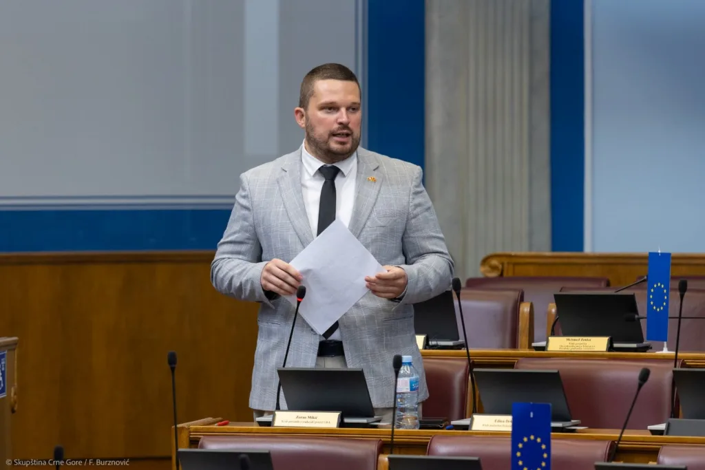 Mikić: Vlast pokazala odnos prema djeci time što je odbila da glasa za povećanje dječijih dodataka