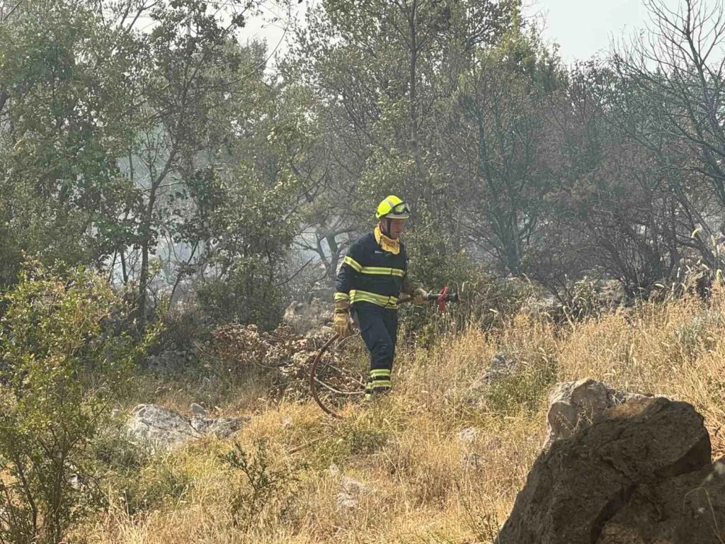 Ugašen požar u Zelenom pojasu, barski vatrogasci stižu da pomognu i u Podgorici
