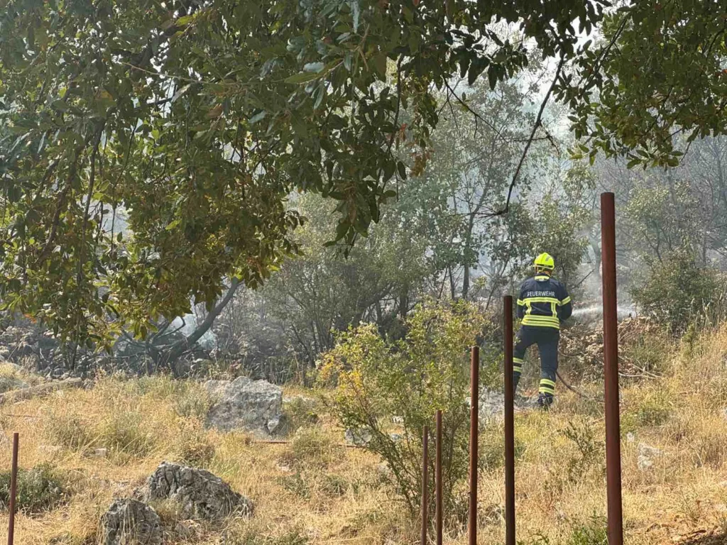 Vučinić apelovao na nadležne: U Piperima požare mora gasiti i helikopter, trebaju nam dvije cisterne i 20 naprtnjača