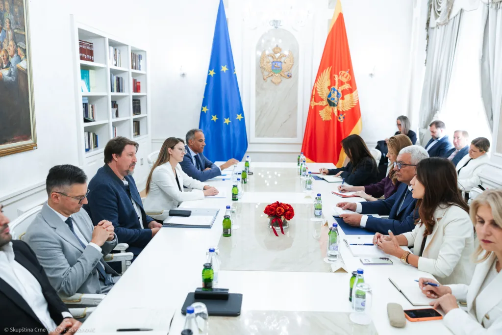 Mandić: Uskoro će Ustavni odbor predložiti kandidate za sudije Ustavnog suda koje će birati poslanici