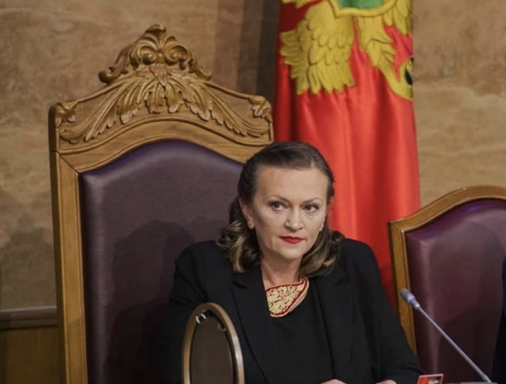 Drobnjak: Nasilje ne prijavljuju zbog nepovjerenja u institucije i straha od stigmatizacije