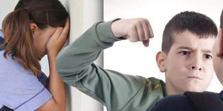 Godine nasilja bez rješenja: Institucije preduzimale određene mjere, ali one nijesu bile dovoljno sinhronizovane ni efikasne