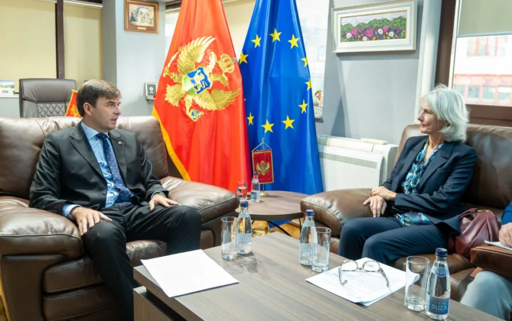 Azemović sa koordinatorkom UN-a: Ministarstvo dijaspore širi mrežu projekata za iseljenike