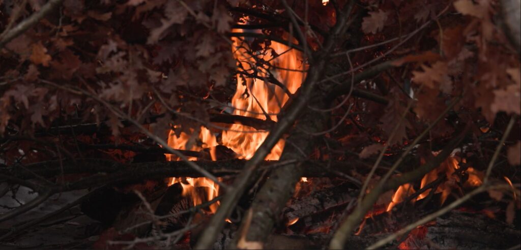 (VIDEO) Badnjaci tradicionalno nalagani u Lijevoj Rijeci, ove godine domaćini bratstvo Vešovića