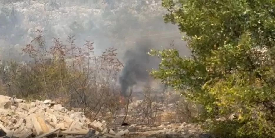 U Piperima skoro lokalizovan požar