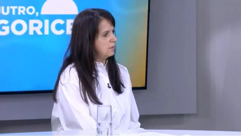 (VIDEO) Baljević: Lokalna strategija za smanjenje rizika od katastrofa daje set mjera koje će se akcionim planom realizovati do 2030. godine