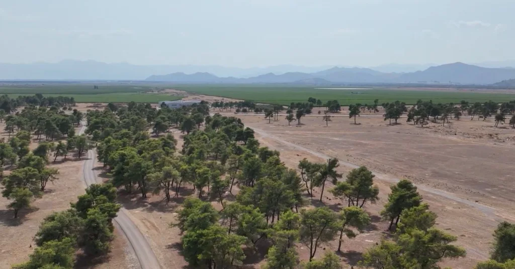 Za Novo groblje na Ćemovskom polju potrebno 1,2 miliona eura