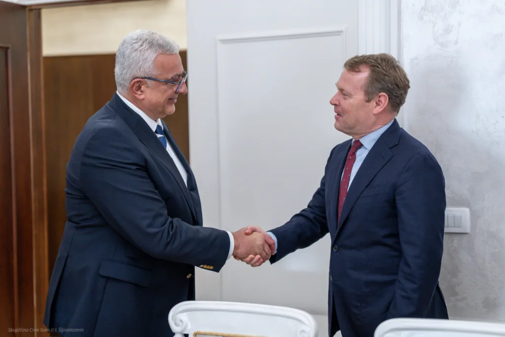 Mandić sa Kampom: Najmanje 40 odsto žena na izbornim listama, Crna Gora želi da bude pouzdan partner OEBS-a