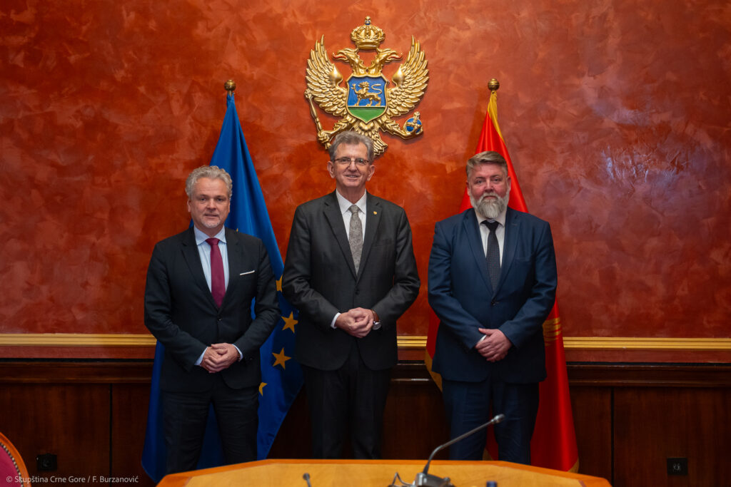 Satler: Vidljivi rezultati parlamenta u ispunjavanju očekivanja EU