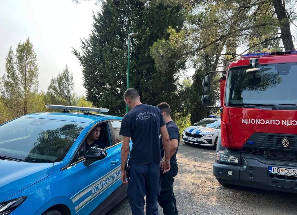 Policija nije zatekla nijednu osobu na Gorici: “Nije preduzeta bilo koja radnja podmetanja požara”