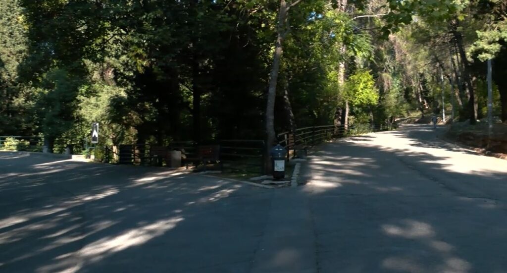 Mulešković: U Podgorici 33 korpe za odlaganje psećeg optada, njihova neadekvatna upotreba i dalje problem