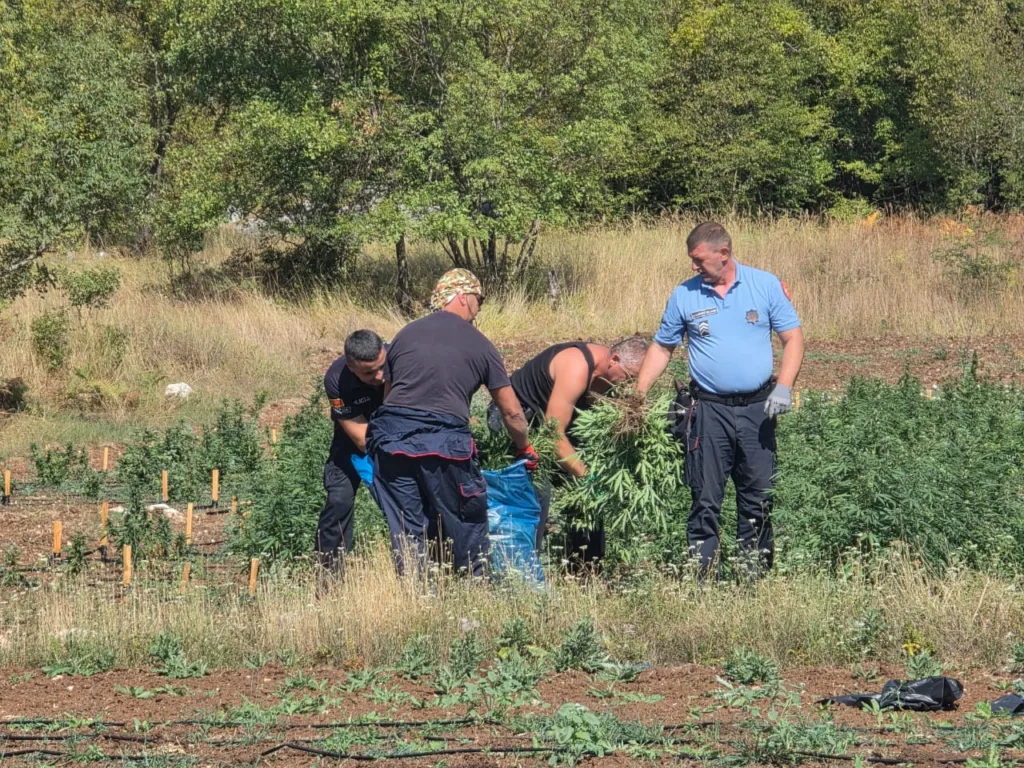 Na udaru milionski prihodi mafije