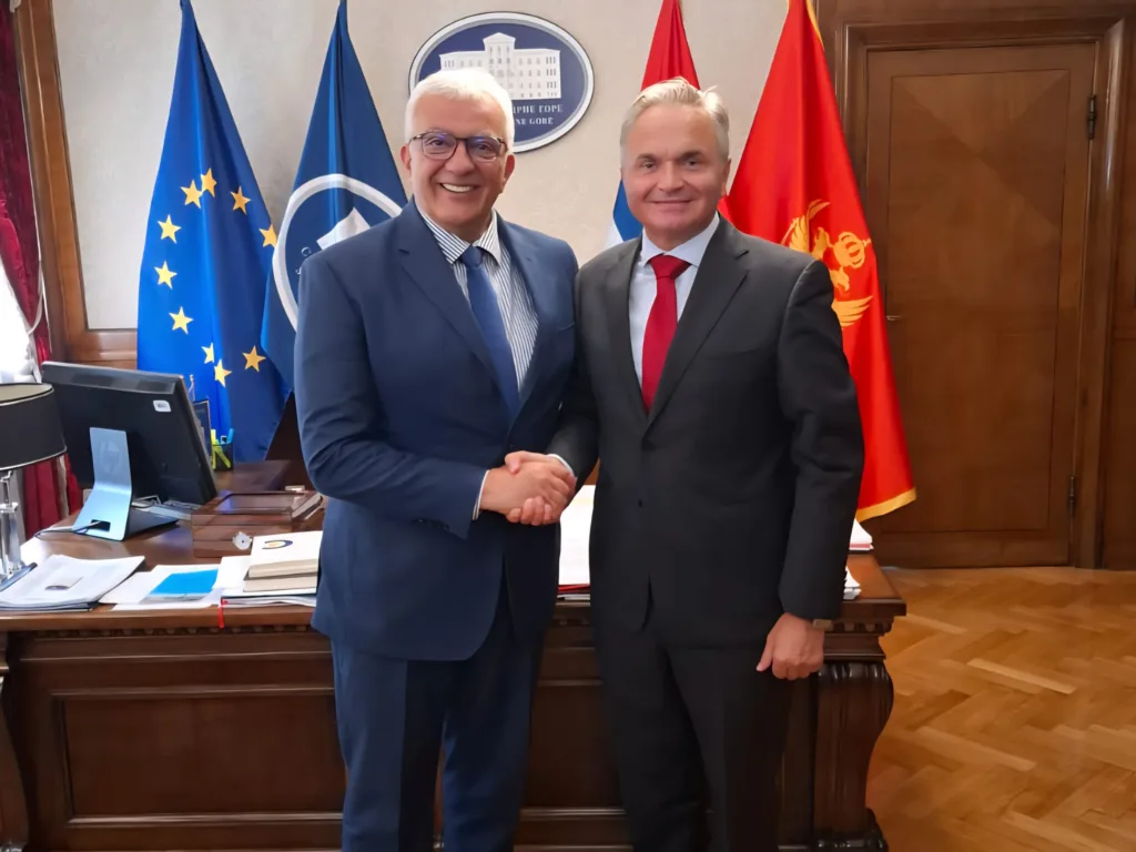 Mandić: Skupština spremna da podrži inicijative koje doprinose jačanju međunarodne saradnje i dijaloga