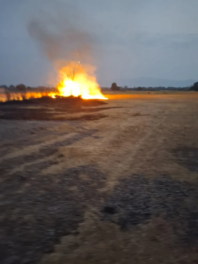 Dva lica osumnjičena za izazivanje požara u Zeti i na Zabjelu, osam procesuirano od početka mjeseca