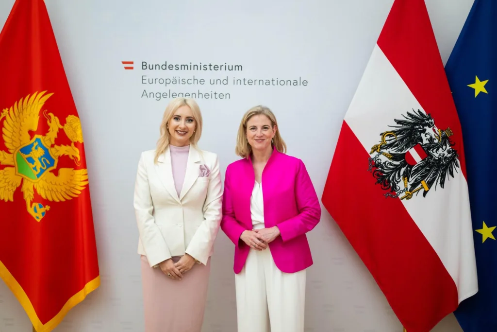 Gorčević: Crna Gora će donijeti novu energiju Evropskoj uniji 