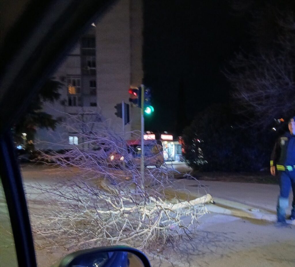 Podgorica: Drvo palo na put u blizini Pet udovica