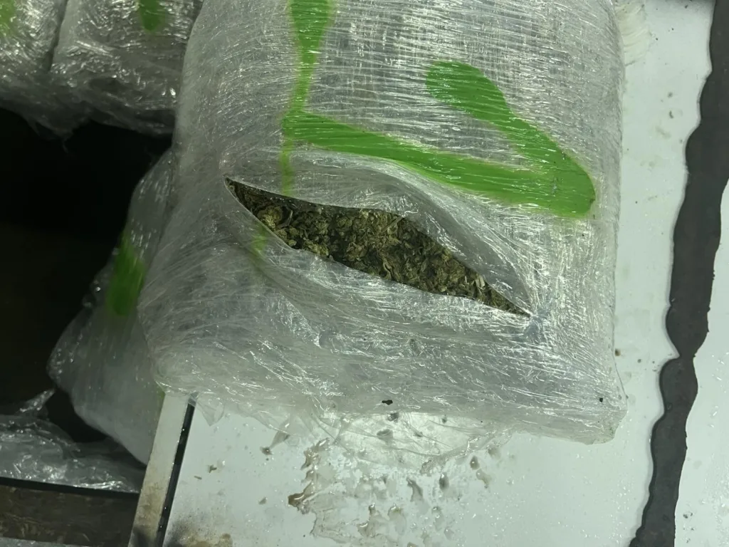 Carinici spriječili krijumčarenje oko 120 kilograma marihuane