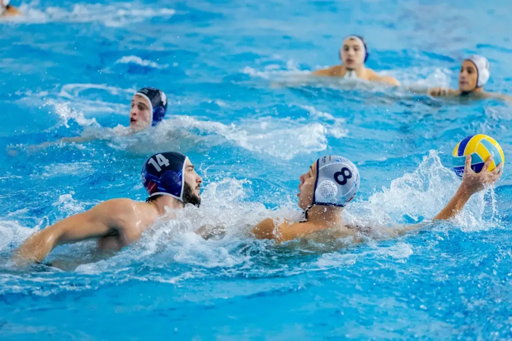 Jadran u Novom Sadu protiv Crvene zvezde: Novljani žele povratak na pobjednički kolosjek