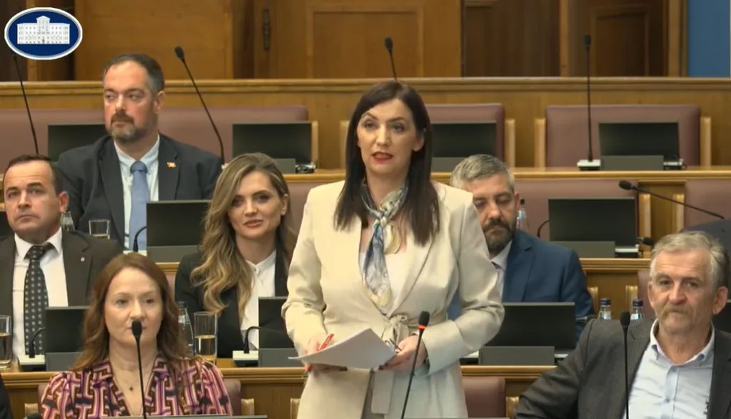 Jakšić Stojanović: Uvodimo fleksibilniji model studiranja umjesto dominantnog 3+2+3