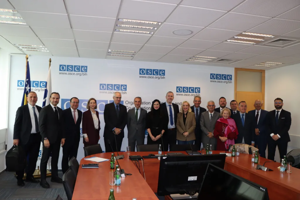 Poslanica Pejović učestvovala u misiji PS OEBS-a u Bosni i Hercegovini