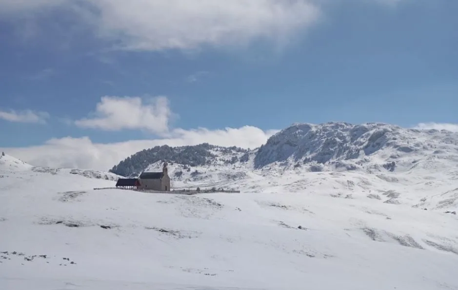 Spasioci iz Mojkovca helikopterom stigli do stočara