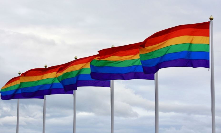 LGBT Forum Progres: Petnaest godina borbe, solidarnosti i promjena