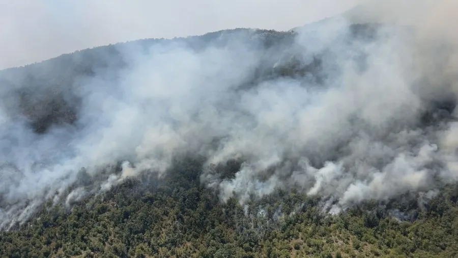 Požari aktivni u Budvi, gasi se iz vazduha