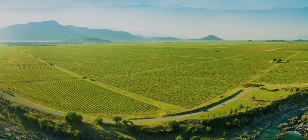 Protest mještana Gornje Gorice: “Plantaže” da nam vrate zemlju