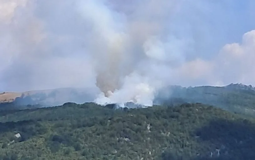 (VIDEO) U gašenju požara uključen avion “vatro-ubica”; Spajić: Sve troškove goriva, posade snose prijatelji iz UAE