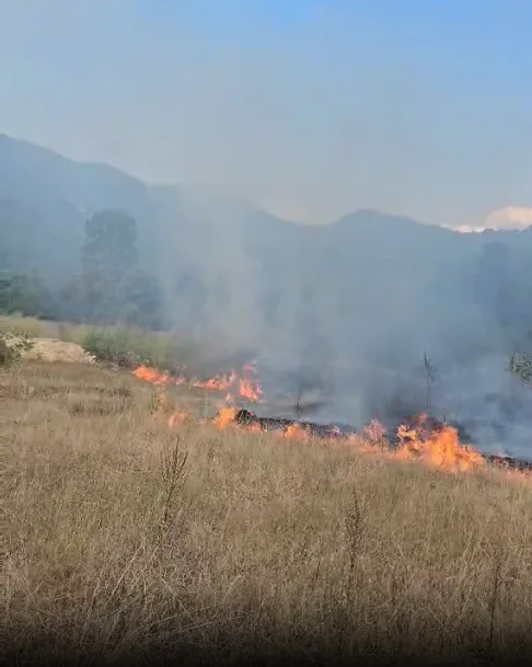 Kolić: Gorjelo na više lokacija u Bijelom Polju, požari izazvani ljudskim nemarom