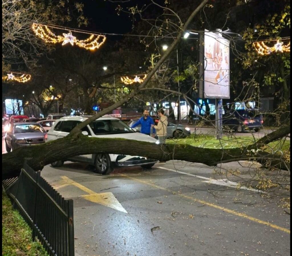 (FOTO/VIDEO) Kamion oborio stablo na Bulevaru Svetog Petra Cetinjskog: Ekipe na terenu