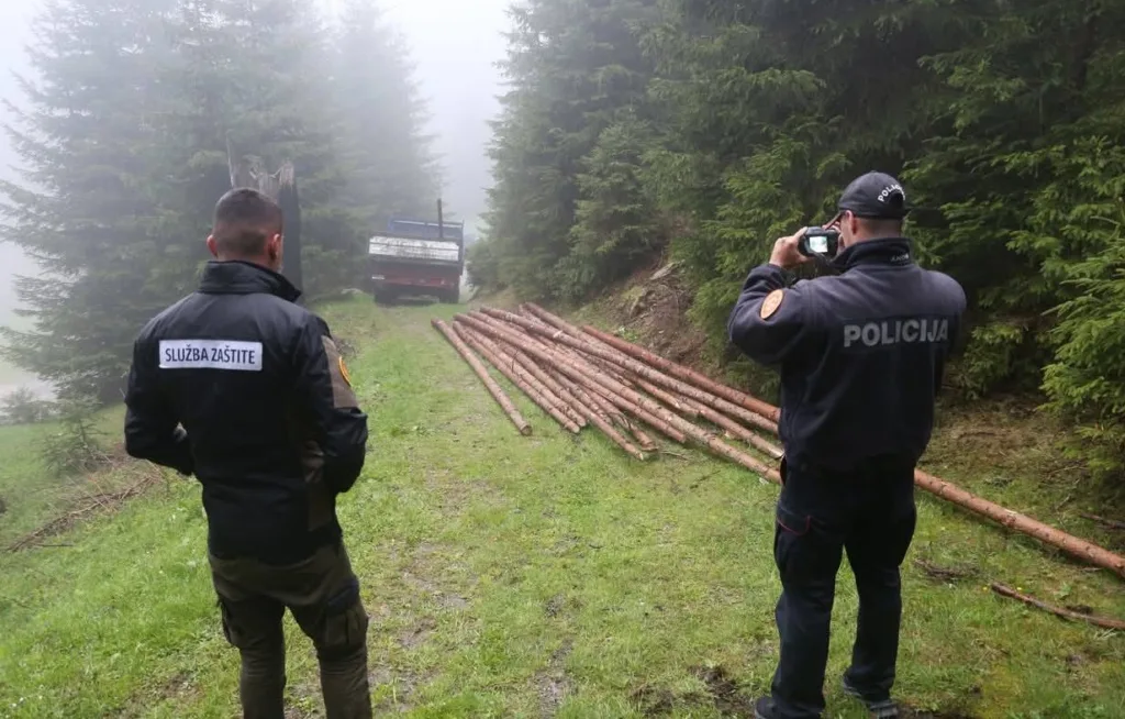 Drvoprerađivači Plava: U NP Prokletije mnogo problema, nadležne ne zanimaju rješenja  