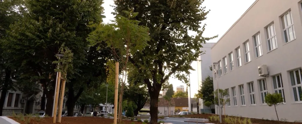 (VIDEO) Zbog porasta vršnjačkog nasilja 205 zaštitara brine o bezbjednosti u školama