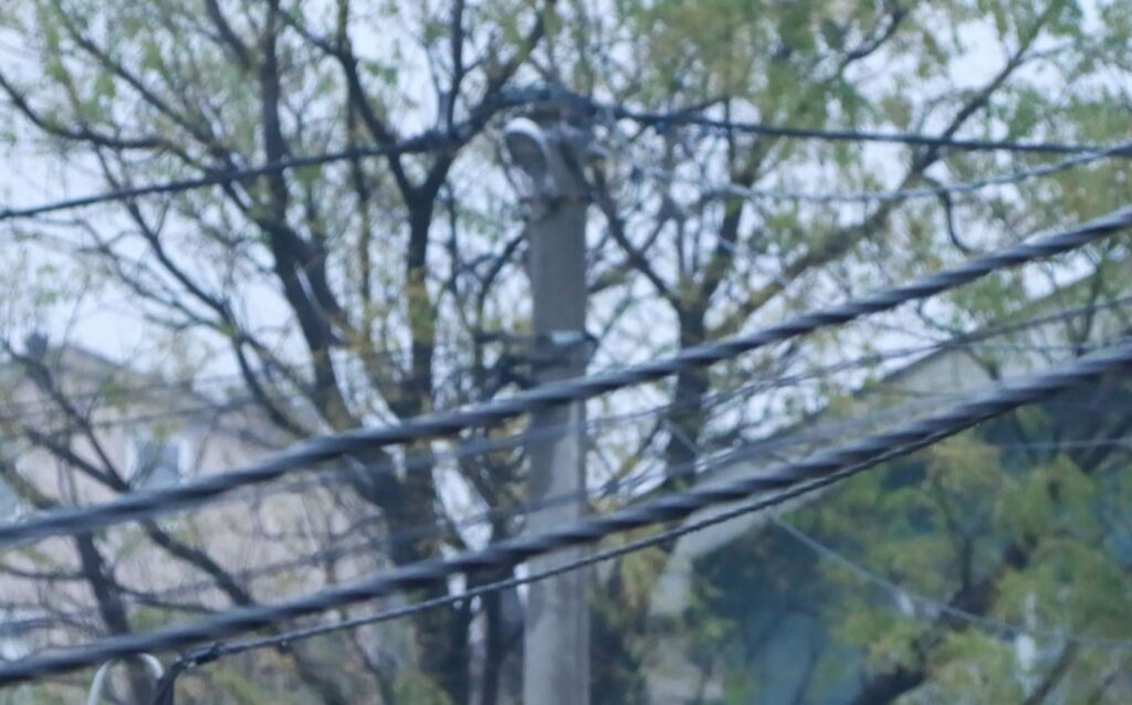 (VIDEO) Mještani Kakaricke gore godinama imaju probleme sa niskim naponom i čestim nestajanjem struje