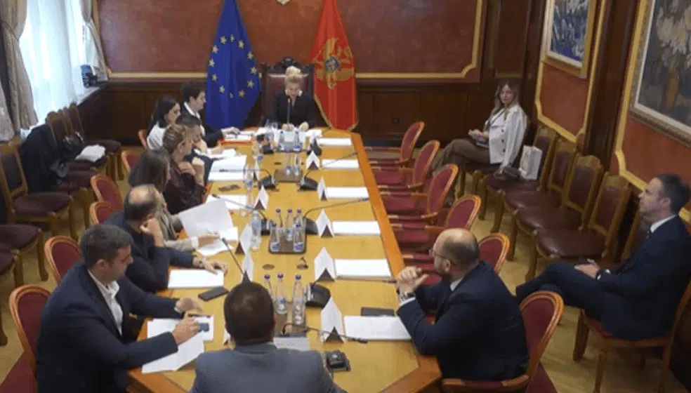 Ustavni odbor predložiće plenumu Jovanovića i Radović za sudije Ustavnog suda