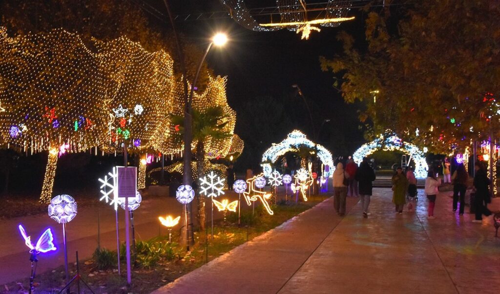 Univerzitetski kampus u prazničnom ruhu