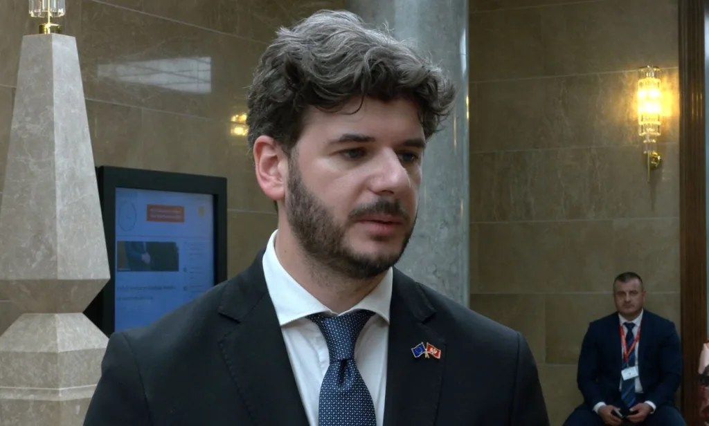 Čarapić: Zašto ne referendum o otvorenim listama do juna; Rakočević: Referendum nije rješenje