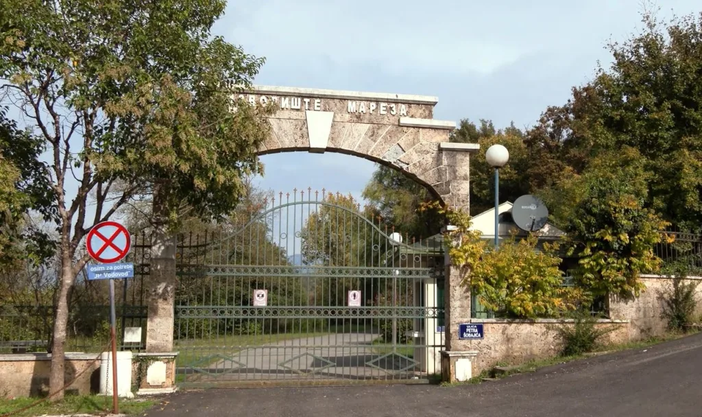 (VIDEO) Nišavić: Sve manje dana kada voda sa Mareze nije za piće, tokom 2022. imali smo zamućenost preko 25 dana