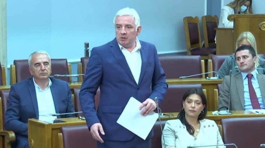 Đurović i Vučurović predložili izmjene: Bez “aneksije” u zakonu o statusu dinastije Petrović Njegoš