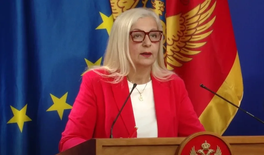 Despotović: Usvajanje PUP-a na telefonskoj sjednici potvrdilo neozbiljnost Vlade