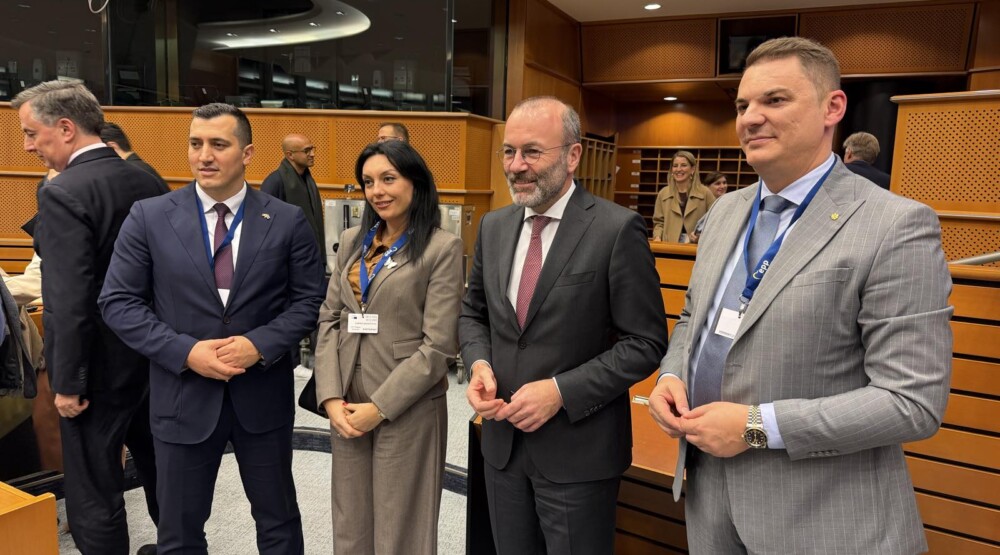 BS će i dalje doprinositi političkom dijalogu unutar EPP-a