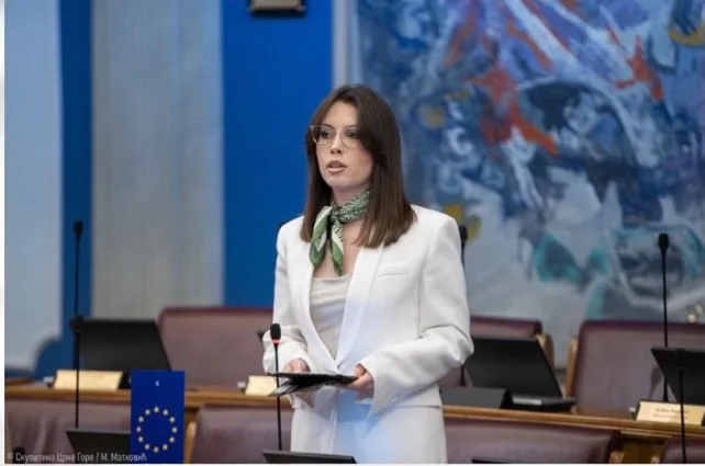 Pićan: Najveća korupcionaška afera budvanske kriminalne grupe pomilovana od strane Jovanovića