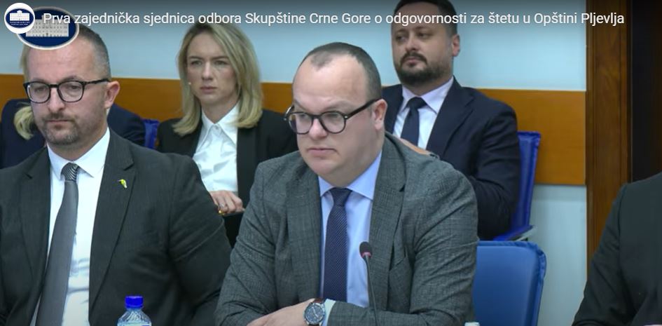 Ćulafić: Vezivati početak rada TE za apsolutno zagađenje u Pljevljima je preoštra konstatacija