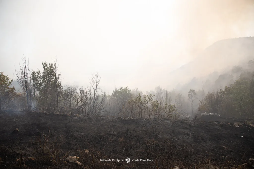 Humanost.com: Zajedno do novog početka – za porodice pogođene požarima