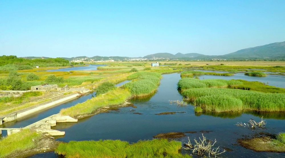 Akcionari: Mohamed Alabar da razmotri mogućnost kupovine Solane
