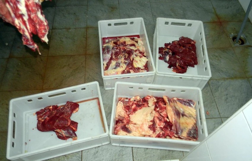 Srbija: Otkrivena nelegalna klanica