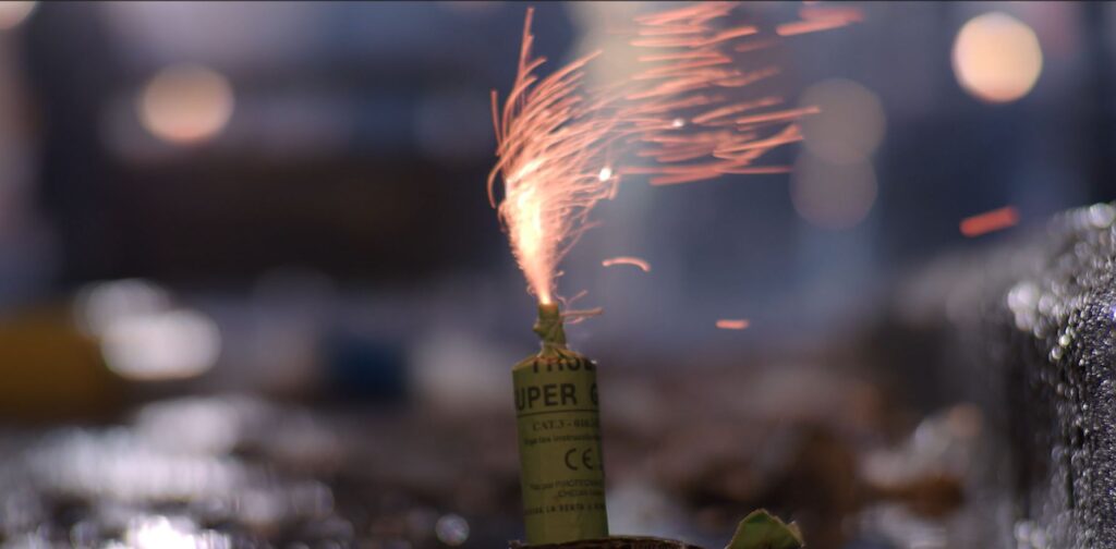 (VIDEO) Upotreba pirotehnike tokom praznika stresna ne samo za ljude i djecu već i za kućne ljubimce