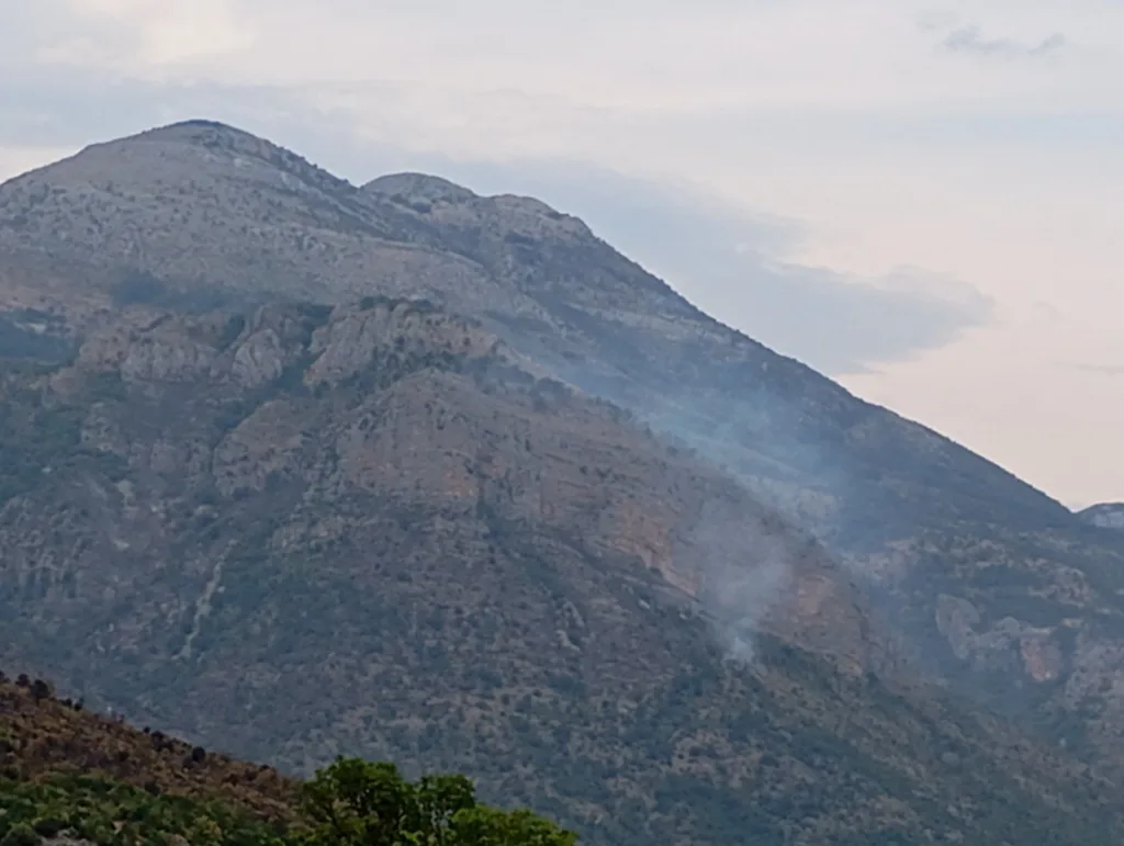 Vučinić: Posljednji udarac vatrenoj aždaji u Piperima zadaje helikopterska jedinica